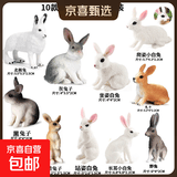 儿童玩具套装实心仿真动物模型实心恐龙家禽海洋生物塑胶早教认知 【10只一套】10款大中小号兔子 无规格