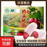 正宗海南澄迈富硒桥头地瓜中秋礼盒板栗红薯超市蔬菜京东包邮 精品桥头地瓜礼盒5斤 桥头地瓜（中大果）