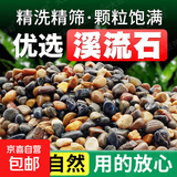 原生溪流石造景鱼缸底砂装饰五彩石大石头头纯天然铺底免洗鹅卵石 7-11mm 2.1斤装