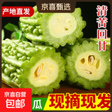【京东物流】农家新鲜苦瓜蔬菜清热降火农家自种现摘现发生鲜 新鲜苦瓜 2斤 带箱