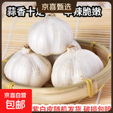【百万单爆品】紫白皮蒜水果大蒜超市生鲜蔬菜调料即食蒜 5-6头 100g 单果3.5-5cm