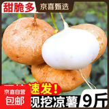 【清凉解暑】新鲜现挖凉薯生吃脆甜水果红薯白地瓜真便宜生鲜超市 现挖凉薯 5斤中大果（3两起）