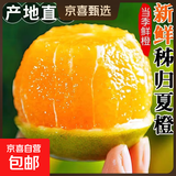 【热销】湖北秭归脐橙鲜果上市 带箱3斤55-60mm