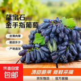 【现摘】蓝宝石金手指葡萄新鲜孕妇水果整串美人指鲜果无籽黑提子 净重2斤