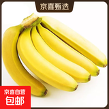广西甄选高山香蕉新鲜当季水果青香蕉自然熟普通惊喜香甜软糯礼盒 香蕉青蕉发货 净重 9斤