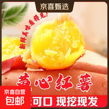 现挖沙地蜜薯红薯新鲜农家糖心番薯烤地瓜软糯批发黄心包邮 沙地蜜薯2斤装中小果 含箱