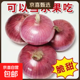 山东特产水果扁洋葱甜瓜口感红皮扁葱头生吃脆甜蘸酱好吃粉嫩 紫皮洋葱大果带箱 3斤 精选