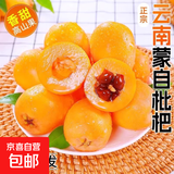 正宗云南蒙自高山五星长虹甜枇杷新鲜采摘孕妇时令止咳化痰水果 2斤尝鲜装（单果重15克+）