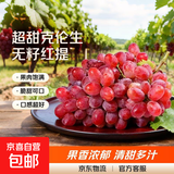 正宗克伦生无籽红提脆甜红宝石葡萄当季新鲜水果葡萄 4斤
