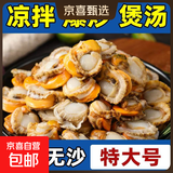 【鲜货上市】特大号扇贝肉纯野生海捕新鲜扇贝冷冻海鲜带冰保鲜 扇贝肉400g*1