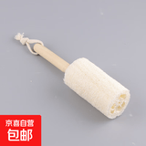 木柄丝瓜络杯刷家用茶杯清洁刷厨房长柄玻璃杯多用陶瓷杯清洗刷子 丝瓜刷-18.5cm-1把 无规格