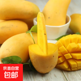 【花皮介意慎拍】新鲜四季芒果当季特产水果半熟果发货 台芒9斤单果100克以上