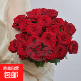 【玫瑰花】花店同款甘肃玫瑰西北鲜花无土栽培易开花期长七夕礼物 娜欧米单头玫瑰 10枝