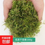 苔藓无菌干水苔鲜活微景观造景水陆缸假山盆栽迷你植物diy材料 干苔藓200g