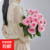 【玫瑰花】花店同款甘肃玫瑰西北鲜花无土栽培易开花期长七夕礼物 洛神单头玫瑰 20枝