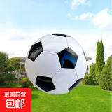 足球5号成人专业比赛训练初中生考试专用少年儿童五号足球运动 5号/标准黑白色经典 裸球++气针+气筒+网兜