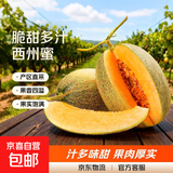 正宗哈密瓜西州蜜大果甜瓜新鲜采摘蜜瓜脆甜多汁整箱 哈密瓜3-4斤（1-2粒装）