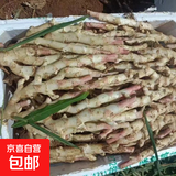 新鲜红芽嫩仔姜现挖现发生姜蔬菜彩椒小黄姜洋葱水果生鲜生姜 红芽嫩姜现挖发带泥净重500克装