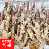 新鲜红芽嫩仔姜现挖现发生姜蔬菜彩椒小黄姜洋葱水果生鲜生姜 红芽嫩姜现挖发带泥净重3斤装