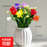 清仓处理花苞蟹爪兰花绿植盆栽室内大苗好阳台养耐活四季开花花卉 3个混色：20-30头【带花苞】+白南瓜塑料蓄水盆 四季重复开花【耐寒】+送营养土