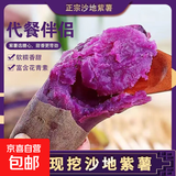 紫罗兰红薯沙地现挖紫薯宝宝辅食紫芋头山芋苕粗粮新鲜包邮 紫罗兰紫薯2斤中大果 含箱