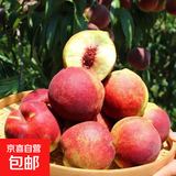 山东青州蜜桃脆甜桃子新鲜水果青毛桃水蜜桃秋桃冬桃-鲜集 青州蜜桃2粒尝鲜装