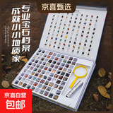 地球记忆100种天然水晶矿石盒儿童玩具宝石石头宝藏矿石标本摆件 100种地球记忆 100种地球记忆