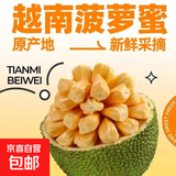 越南菠萝蜜正宗进口鲜果香甜可口果王稀缺脆甜带皮出果肉40%左右 带皮切块果肉2.5斤-3斤