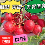 新鲜山楂批发新鲜精选优质好果现摘现发冰糖葫芦糖雪球专用包邮 带箱5斤