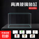 高清热弯浮法透明玻璃鱼缸客厅家用造景装饰生态中小型生态金鱼缸 热弯鱼缸-送礼品 长60*宽30*高35cm