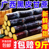 广西黑皮甘蔗新鲜水果应季现砍现发甜杆脆孕妇水果紫甘蔗非黄金青 5斤（新鲜头茬 甘甜多汁）