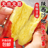 正宗沙地板栗红薯农家自种真便宜粉糯香甜直播间超市同款早餐必备 9斤中大果【3两-8两】 含箱