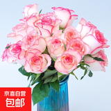 【玫瑰花】特价云南鲜花直发节日鲜花礼物花束水养插花七夕礼物 爱莎玫瑰10枝