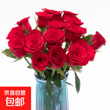 【玫瑰花】云南鲜花批发真花家用插瓶水养节日生日礼物鲜切花束 高原红玫瑰18+2枝防损耗