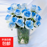 【玫瑰花】特价云南鲜花直发节日鲜花礼物花束水养插花七夕礼物 碎冰蓝玫瑰10枝【喷色】