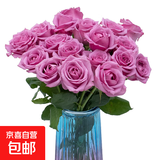 【玫瑰花】云南鲜花批发真花家用插瓶水养节日生日礼物鲜切花束 紫玫瑰18+2枝防损耗