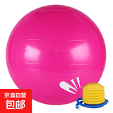 瑜伽球健身球感统训练瑜珈球大龙球加厚充气运动健身器材家用 瑜伽球-粉色【55cm含泵气塞】