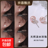 【999足银】天然淡水珍珠耳钉扁圆馒头纯银针耳环轻奢高级银耳饰 紫色 天然淡水珍珠【8mm】一对