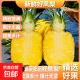 海南金钻凤梨台农17号手撕菠萝新鲜水果生鲜特大整箱包邮送礼特产 1粒装单果1-1.5斤