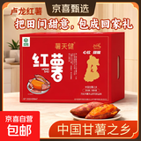 现挖烟薯糖心红薯新鲜空气炸锅烤地瓜农家沙地红心蜜薯 卢龙精选烟薯礼盒5斤 净重 中小果（单果50g-150g）