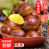 丹东板栗新鲜当季东北特产野生锥栗大果甜糯毛栗子现摘整箱包邮 单果22mm+ 5斤