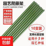 植物爬藤架黄瓜豆角西红柿架植物支撑杆园艺花架葡萄庭院户外 直径11mm长度150cm【10支】