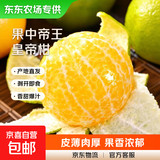 【东东农场专供】正宗广西武鸣皇帝柑贡柑产地直发新鲜水果 3斤装55mm+