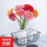 【非洲菊】弗朗扶朗鲜花礼物水培太阳花好养七夕节礼物 【随机非洲菊1扎10支35CM】