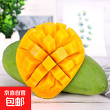 四川凯特芒新鲜芒果生鲜水果彩虹芒果 凯特芒净重9斤500克+