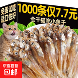 小鱼干猫猫零食宠物冻干多春鱼无盐猫咪增肥发腮猫粮营养训练磨牙 【约1000条】无盐淡水河鱼100g