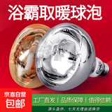 浴霸灯泡防水防爆取暖灯泡275瓦老式卫生间浴室照明壁挂灯暖专用 银色-高165mm宽125mm【1只特惠装】速热钢化