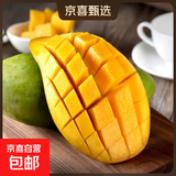 新鲜玉芒大青皮芒果应季生鲜新鲜水果 带箱8斤大果300g+