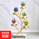 花架客厅2025新款轻奢花架置物架阳台多肉万向轮花盆托架多层铁艺 招财树五盆金