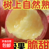正宗运城红富士苹果冰糖心新鲜当季水果孕妇丑苹果香脆爽酸甜 带箱3斤【65-80mm】 不能保证所有苹果都有冰糖心呦